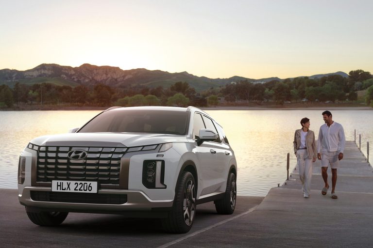 vista panoramica frontal hyundai palisade